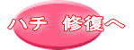 ハチ 修復へ