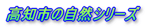 ms̎RV[Y