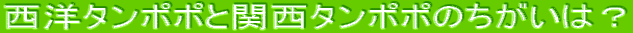 m^||Ɗ֐^||̂́H
