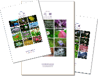 �T���l�C��CALENDAR�@���{��������������