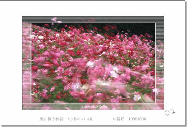 postcard_�H��