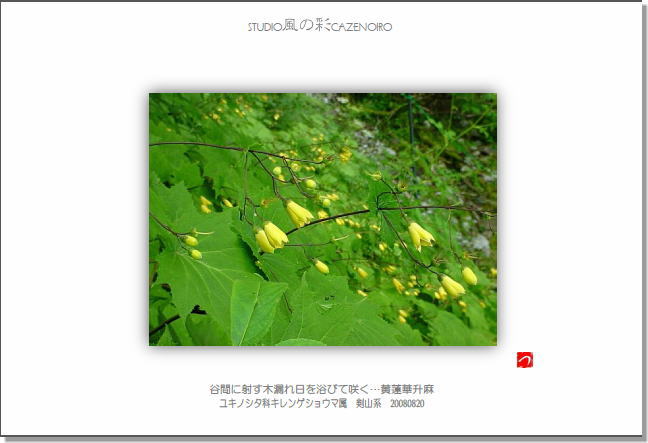 postcard_���@�؏���