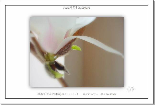 postcard_�ؘ@