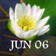 �U�����炭�@�����i�q�c�W�O�T�j�����@�i�X�C�����j