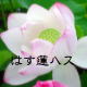 �u�@�͂��n�X�v�V���[�Y�փ����N