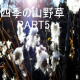 �u�l�G�̎R�쑐PART5-�~������܂���-�v�V���[�Y Youtube�փ����N���܂�